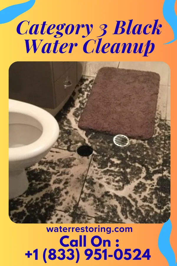 Category 3 Black Water Cleanup in Cankton, LA