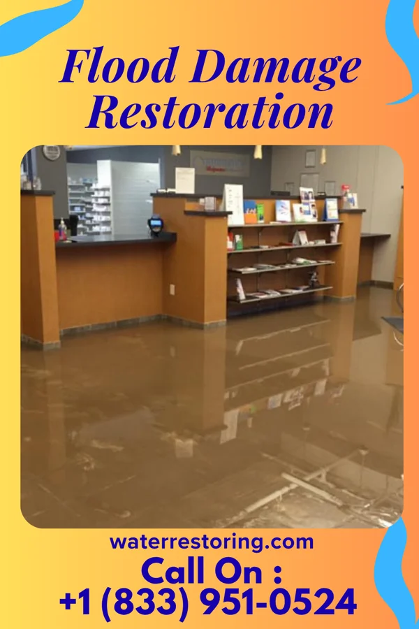 Flood Damage Restoration in Cankton, LA